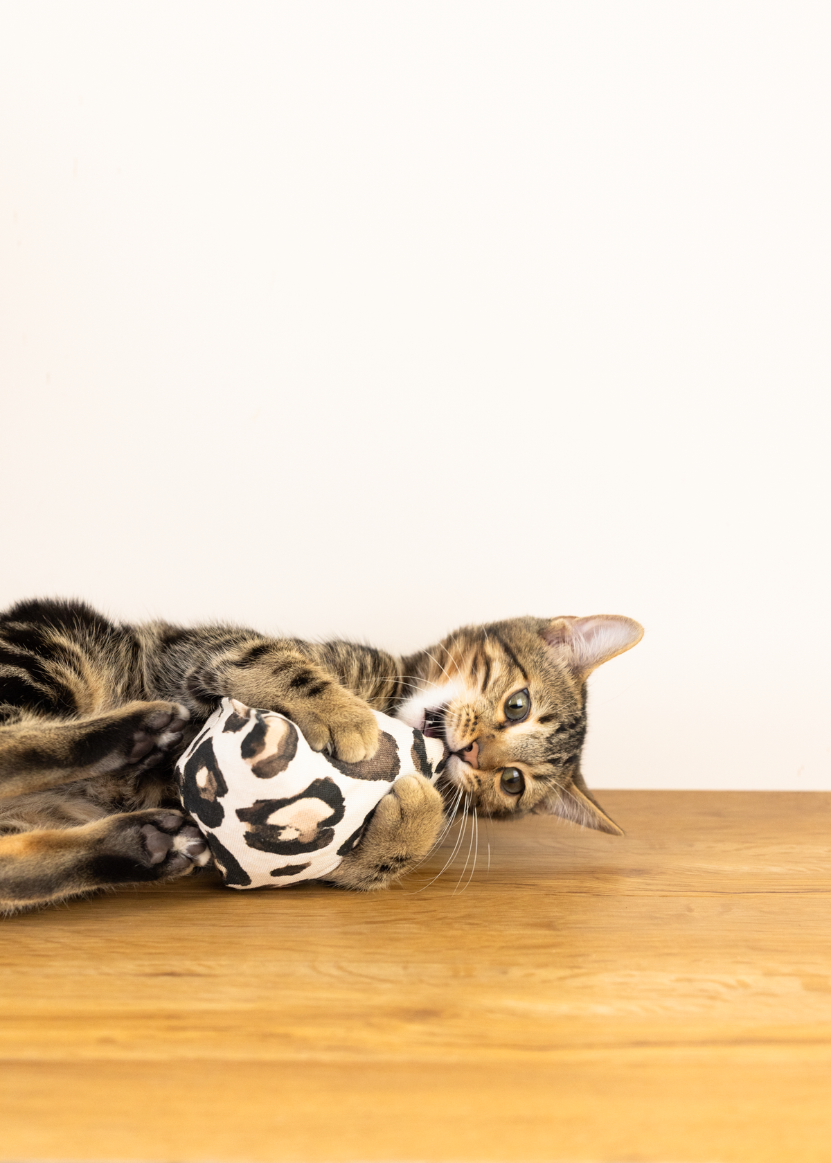purramid Leo (Baldrian & Catnip