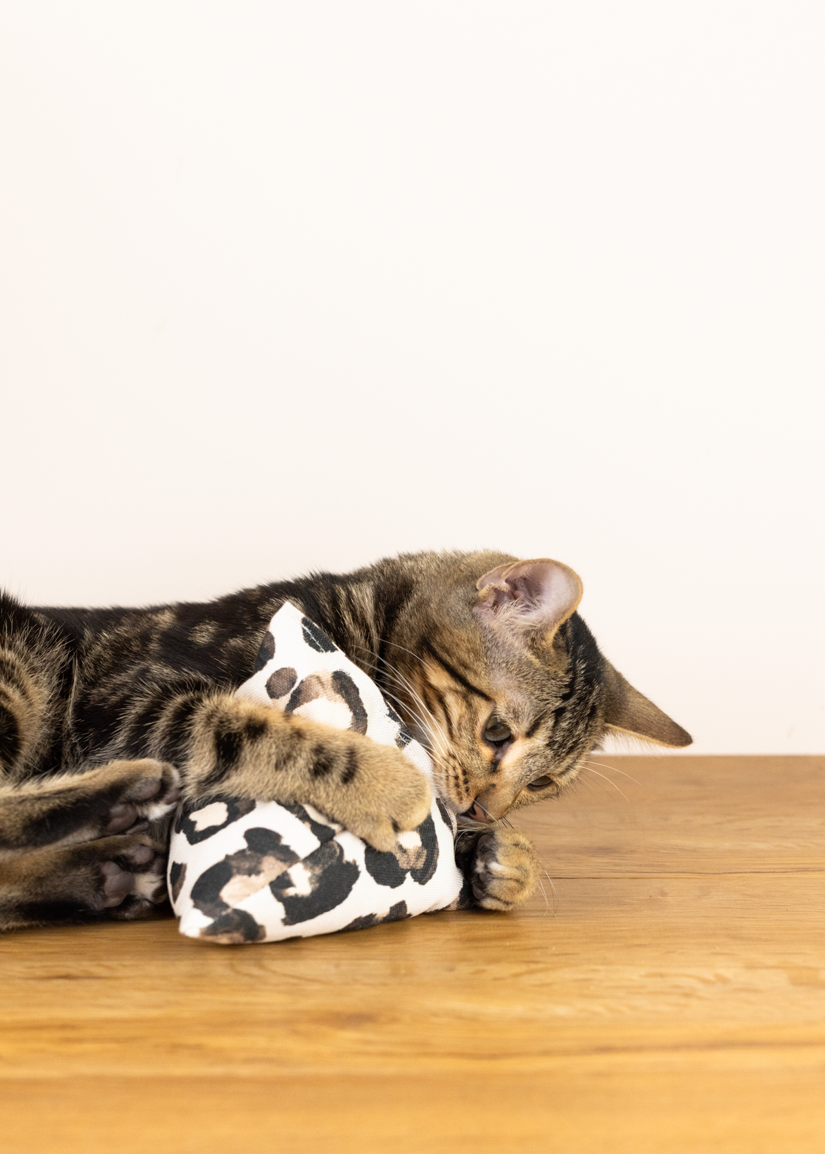 purramid Leo (Baldrian & Catnip