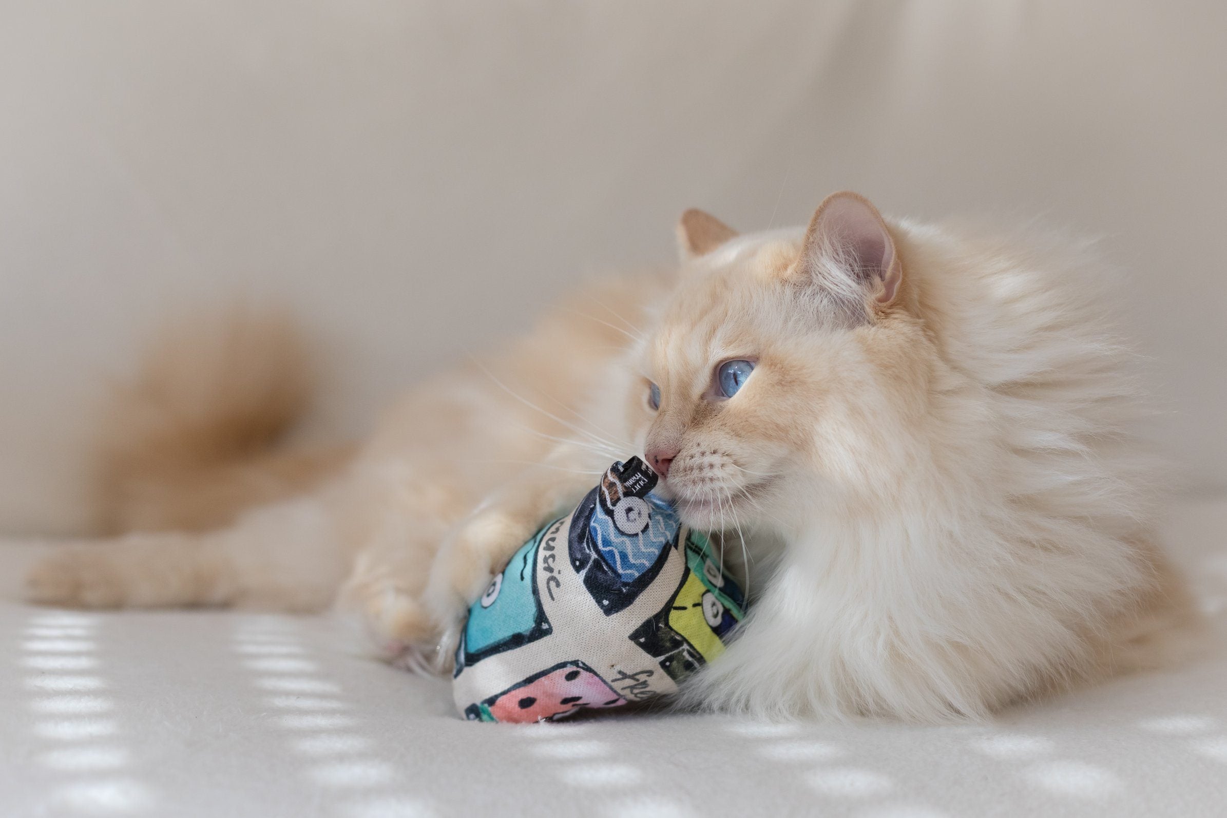 limited: purramid mixtape