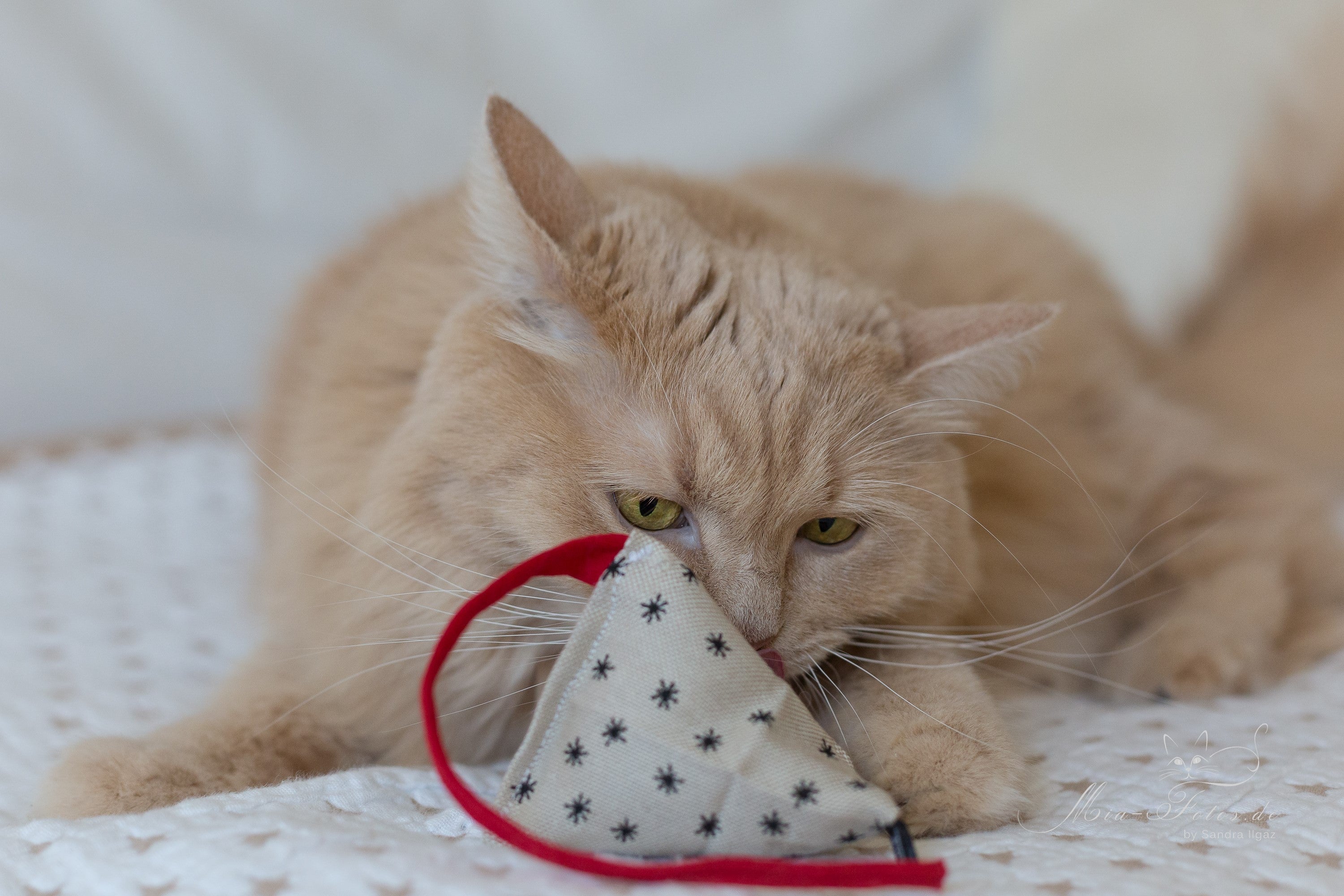 santas candy bag (Baldrian)