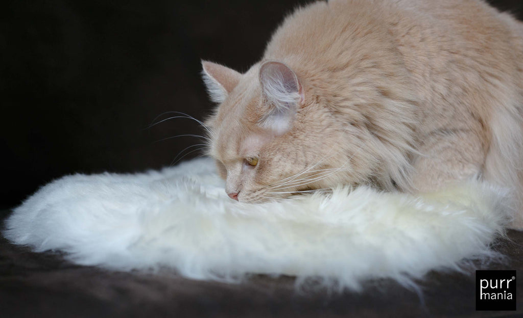 sheepy pad rund