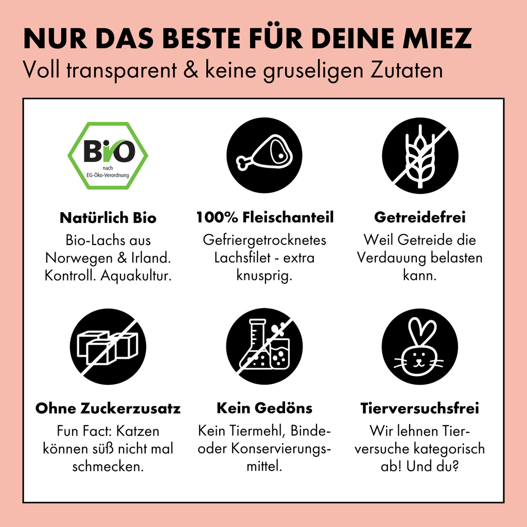 Strayz Snack 100% Lachs Gefriergetrocknet