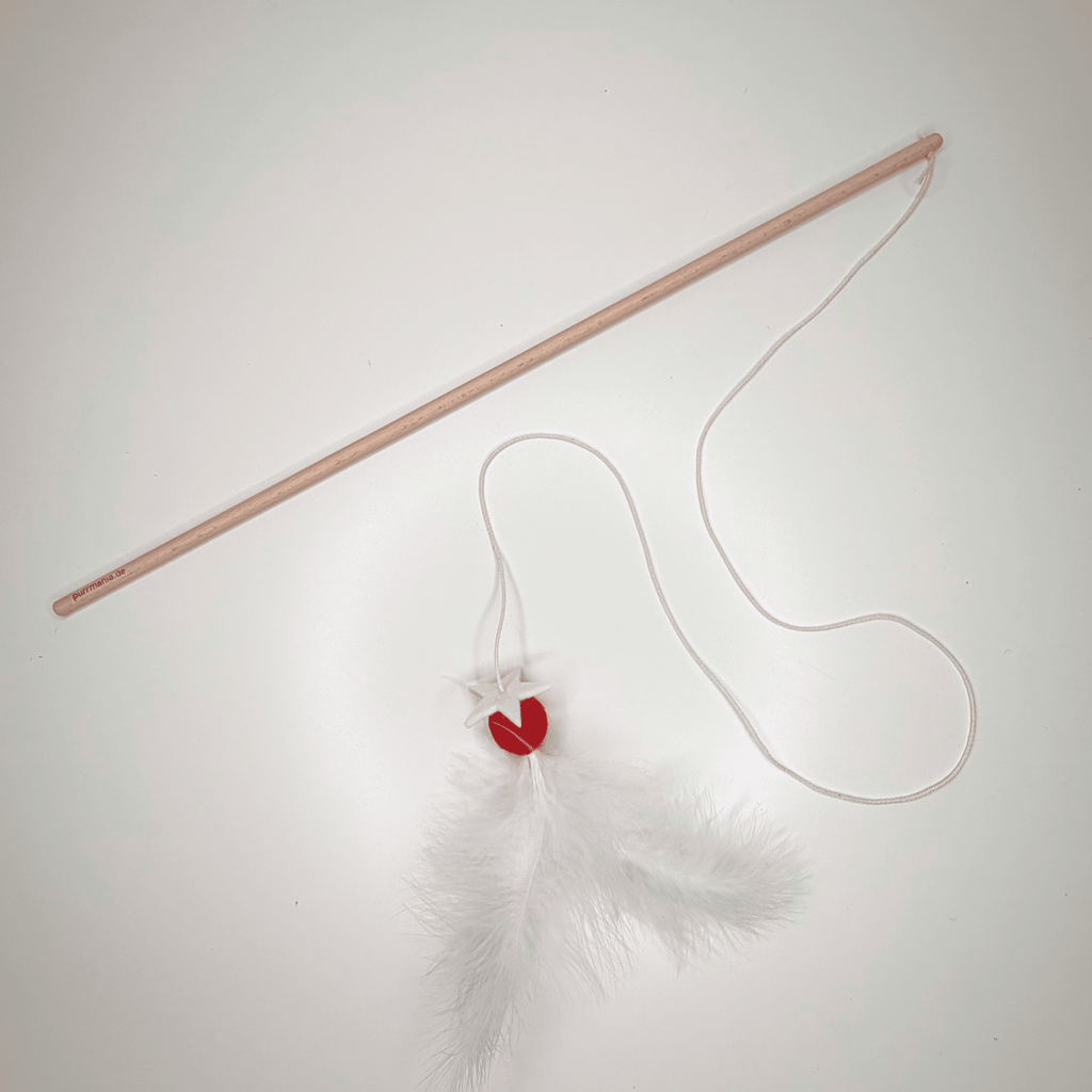 Spielangel swing star