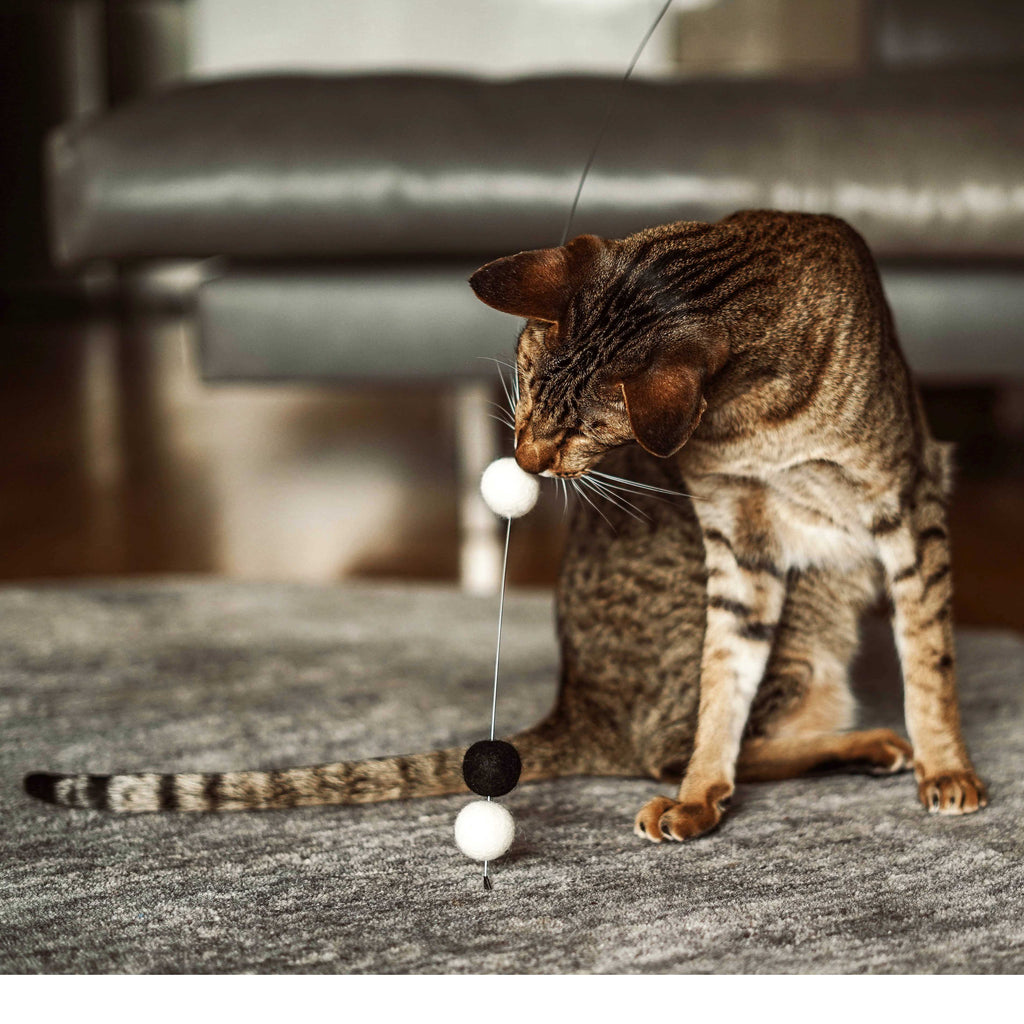 wiggle black & white