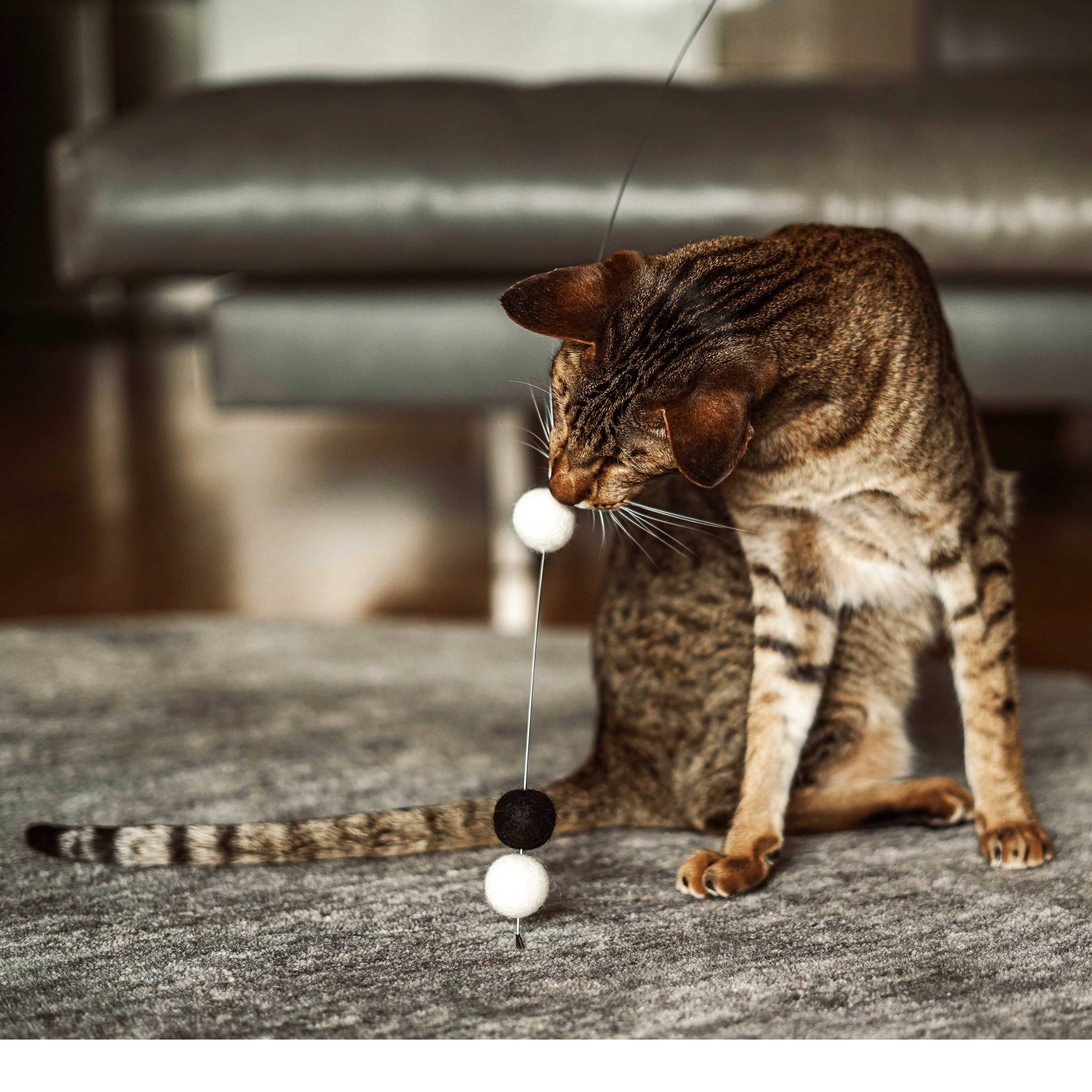 wiggle black & white