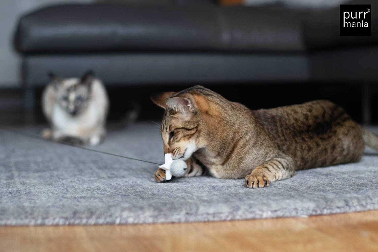 wiggle starlet Drahtangel