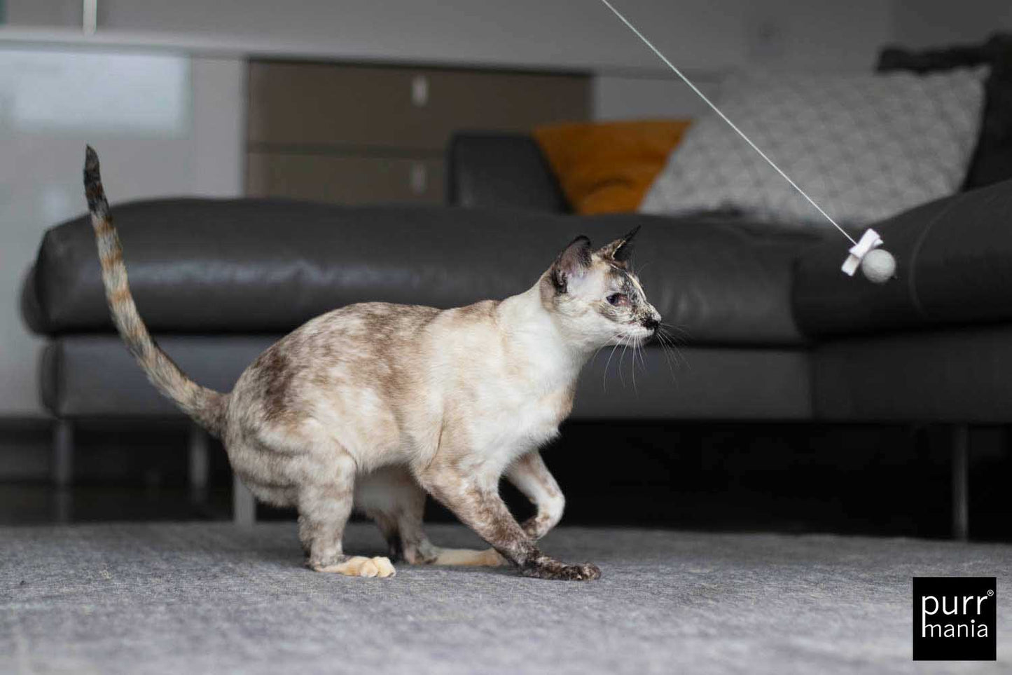 wiggle starlet Drahtangel