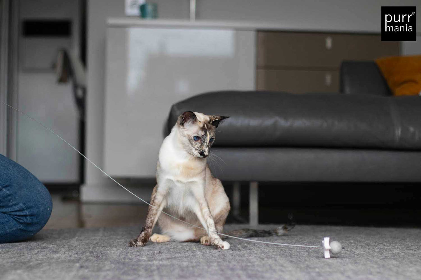 wiggle starlet Drahtangel