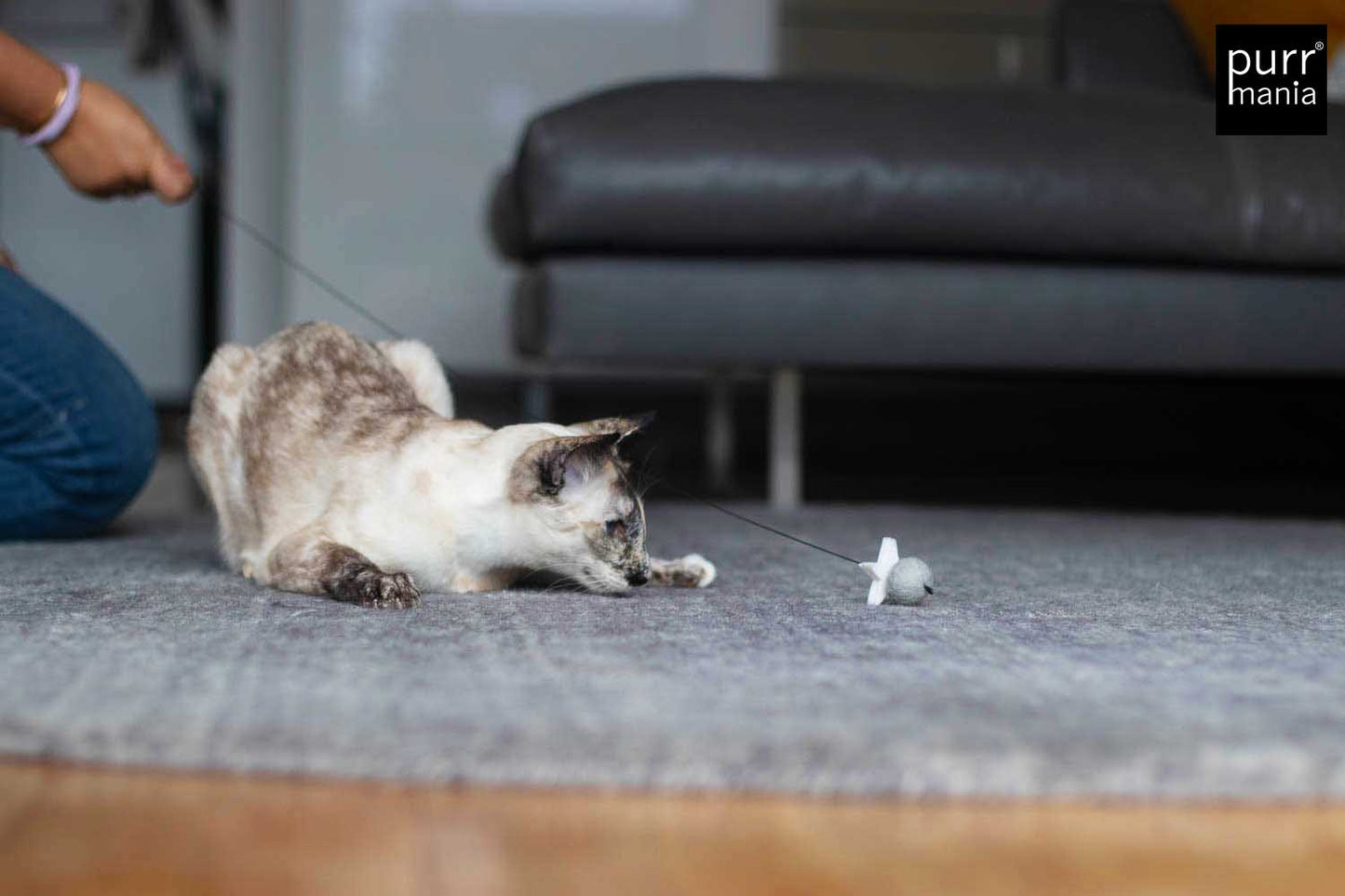 wiggle starlet Drahtangel