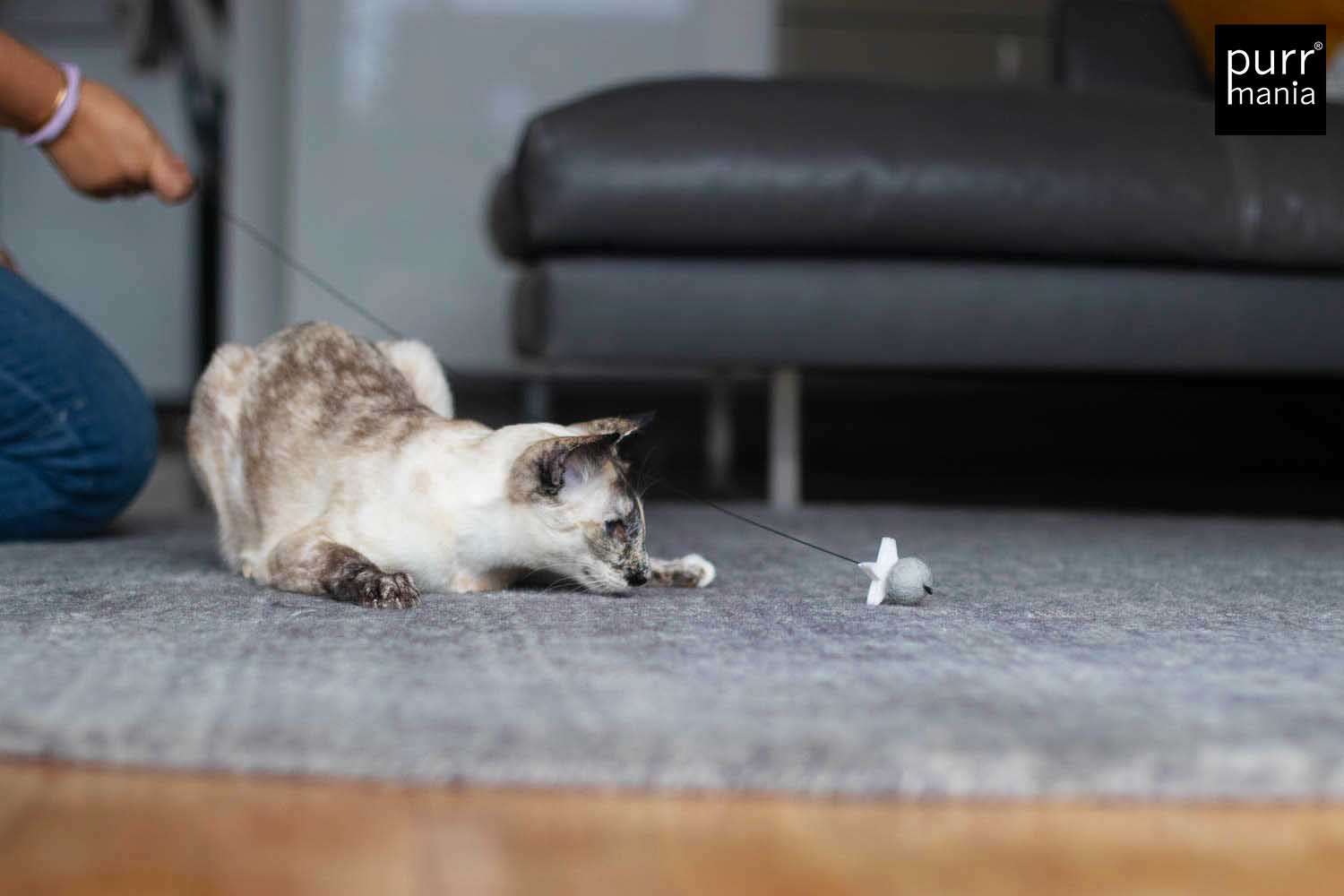 wiggle starlet Drahtangel