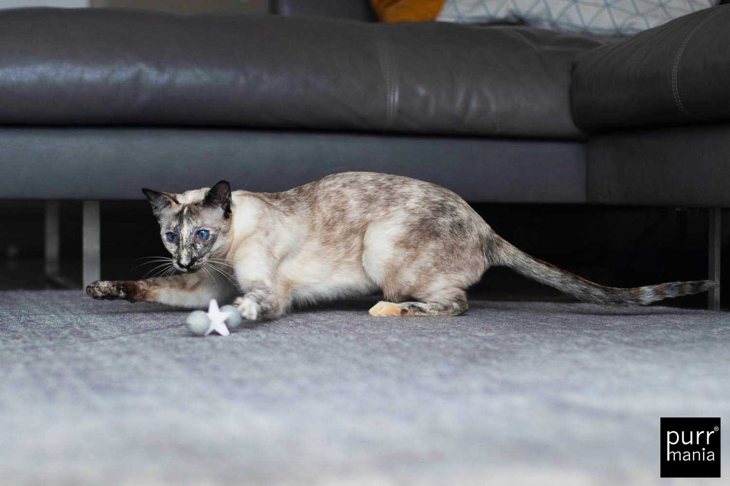 wiggle starlet Drahtangel