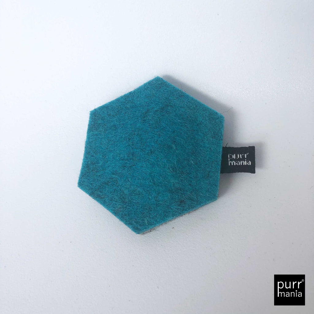 wooly hexagon (Catnip)